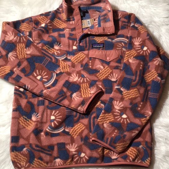 Patagonia Synchilla Canyon Block 2025